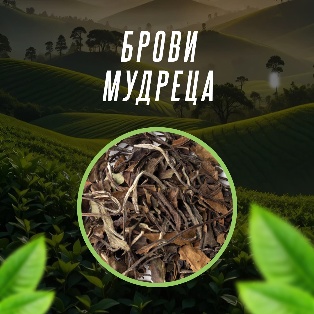 Брови мудреца