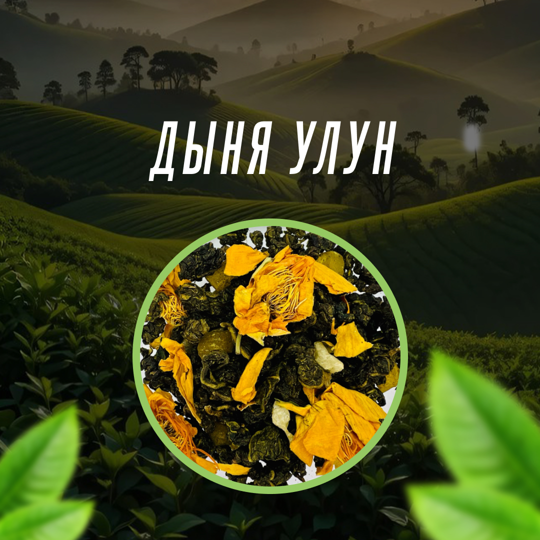 Дыня Улун