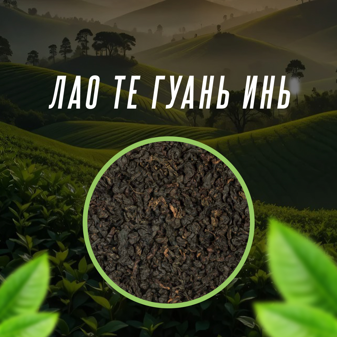 Лао Те Гуань Инь