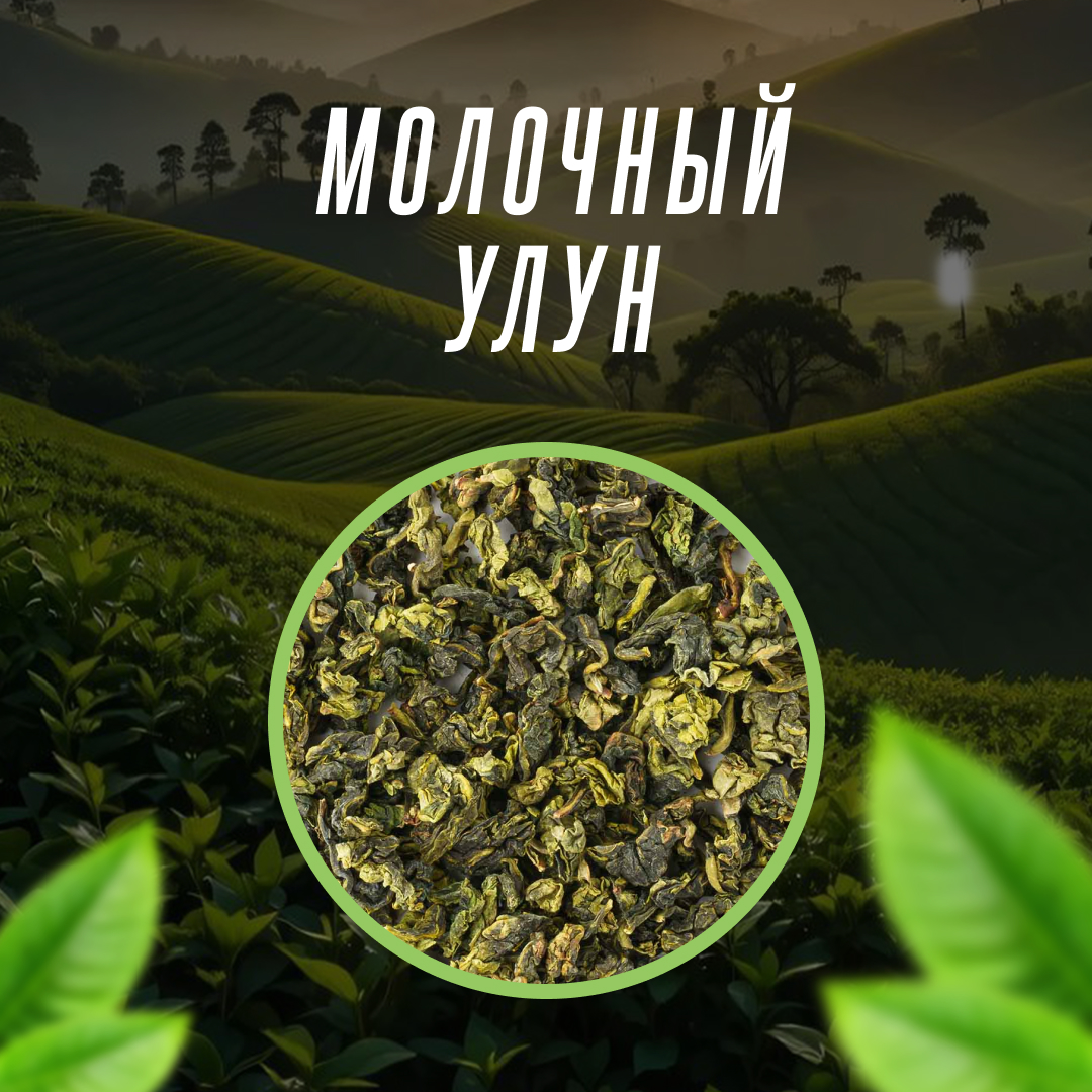 Молочный Улун