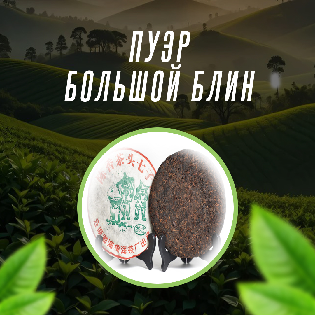 Пуэр Большой Блин