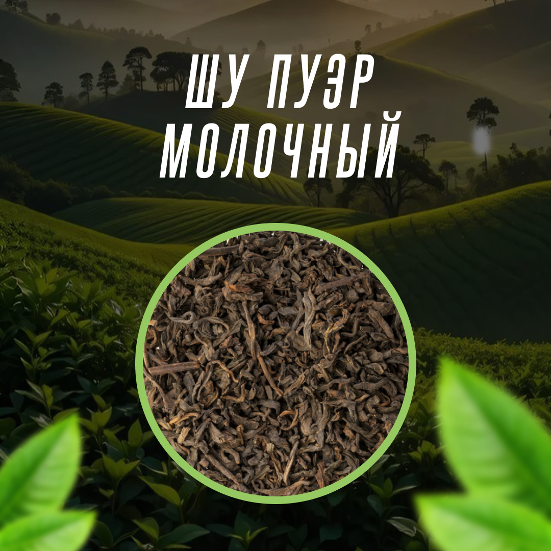 Шу Пуэр Молочный