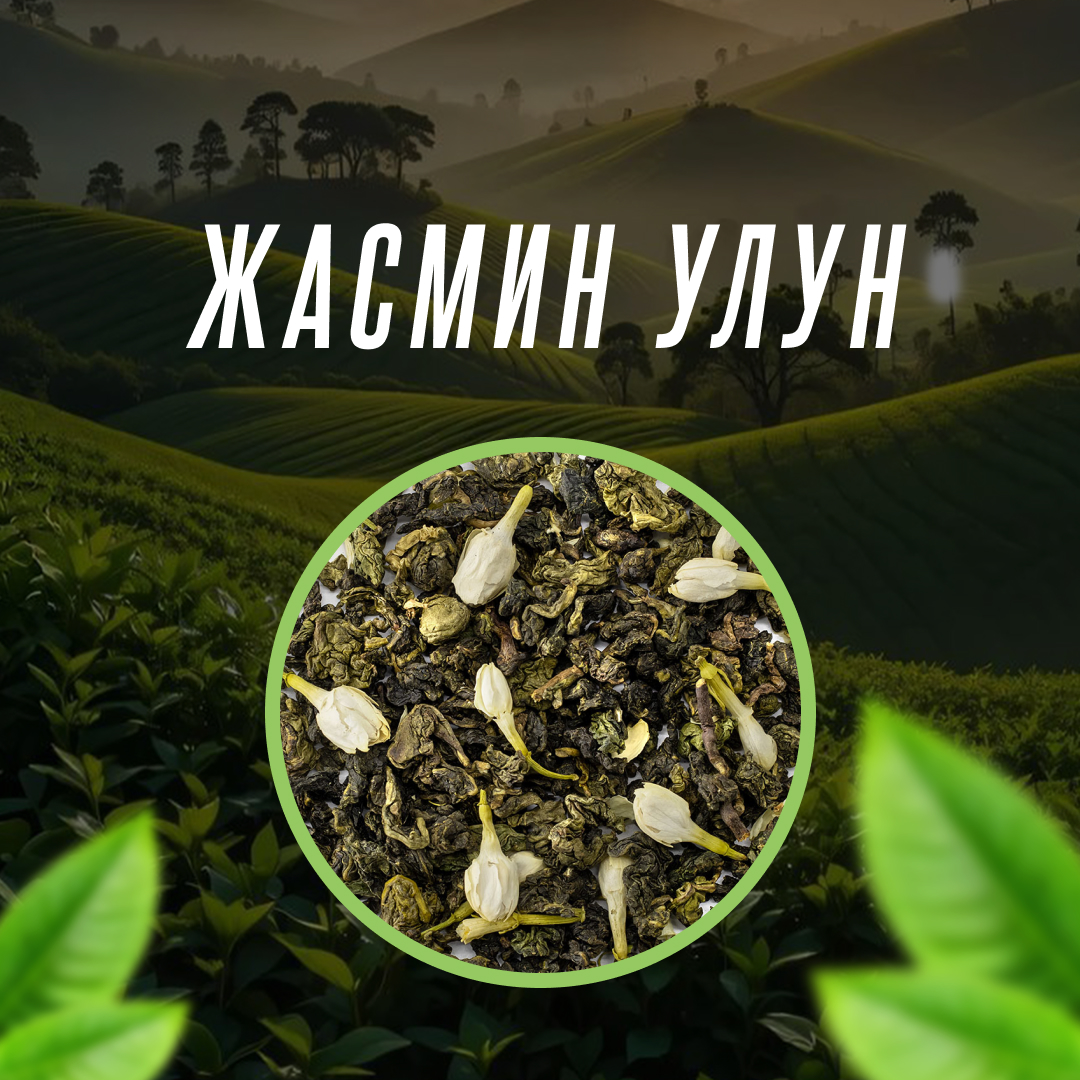 Жасминовый Улун